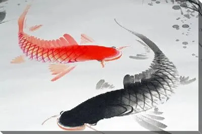 Картина маслом Красная и черная рыбы