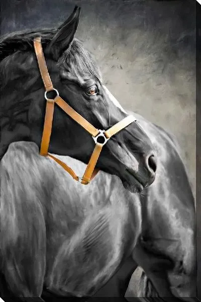 Картина маслом Серая лошадь