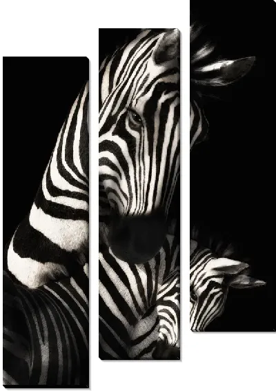 Модульная картина Зебра №2
