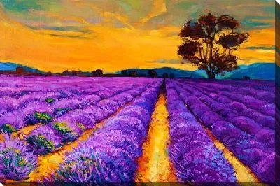 Картина маслом Поле лаванды №2