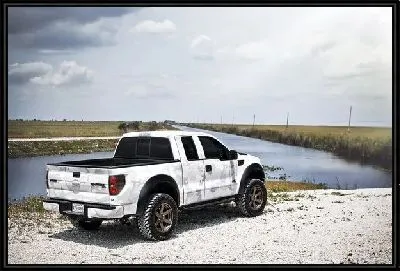 Картина Ford №2