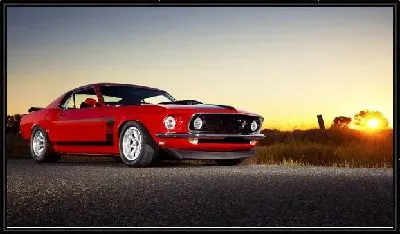 Картина Ford №3