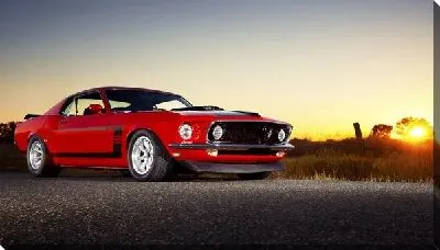 Постер Ford №3