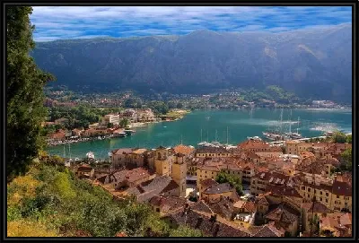 картина