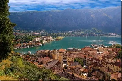 картина