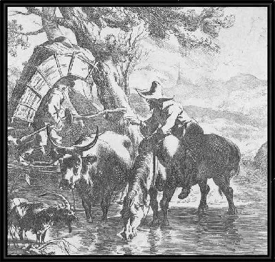 Мальчик на деревянном мосту