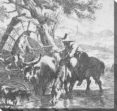 Мальчик на деревянном мосту