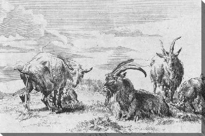 Картина Овца и козы