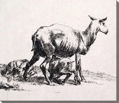 Картина Овца с ягнёнком