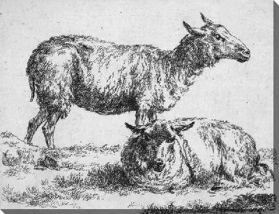 Картина Овцы