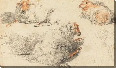 Картина Овцы