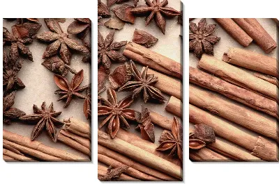 Модульная картина Корица