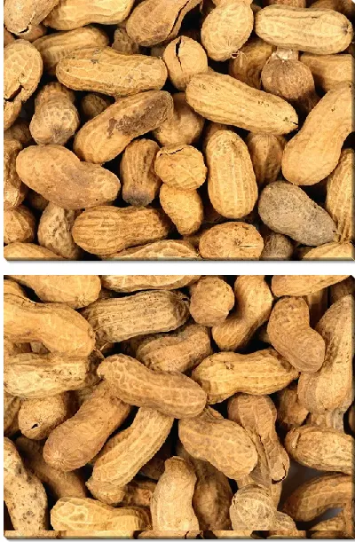 Модульная картина Орехи №4