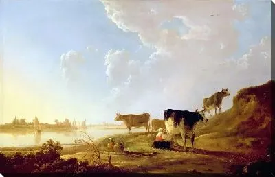 Коровы на берегу реки