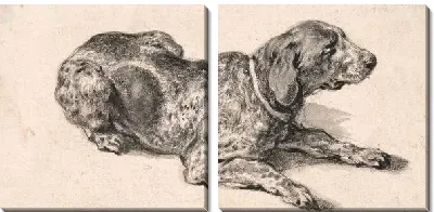 Картина Лежащая собака