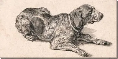 Картина Лежащая собака