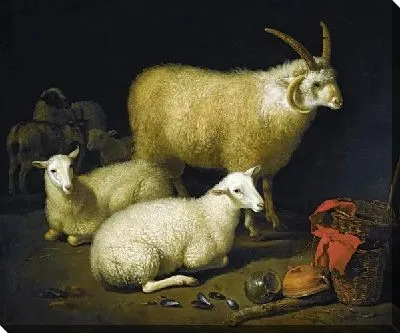 Овцы в хлеву