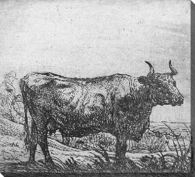 Картина Две коровы в пейзаже