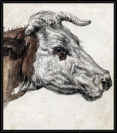 Голова коровы