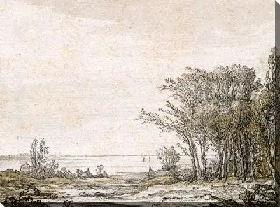 Картина Вид побережья у широкой реки