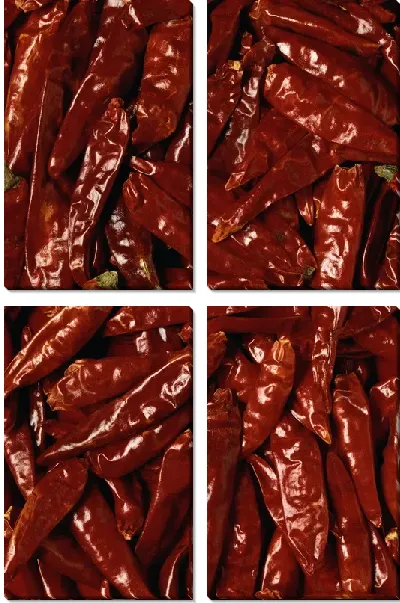 Модульная картина Перец №13