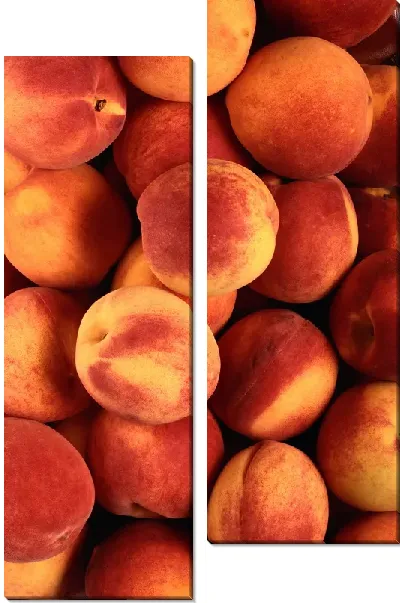 Модульная картина Персики