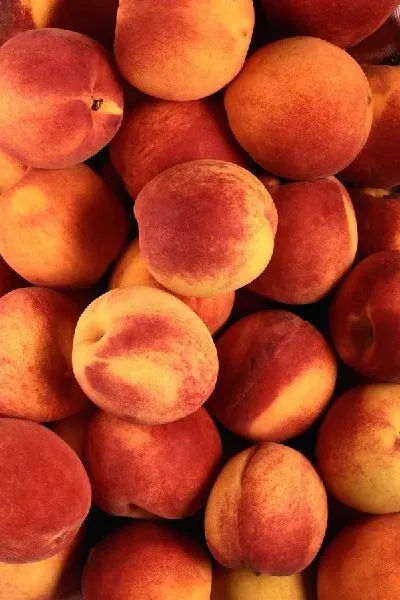 Плакат Персики