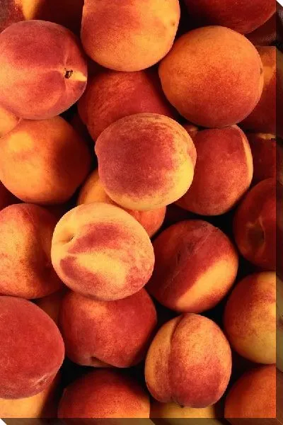 Постер Персики