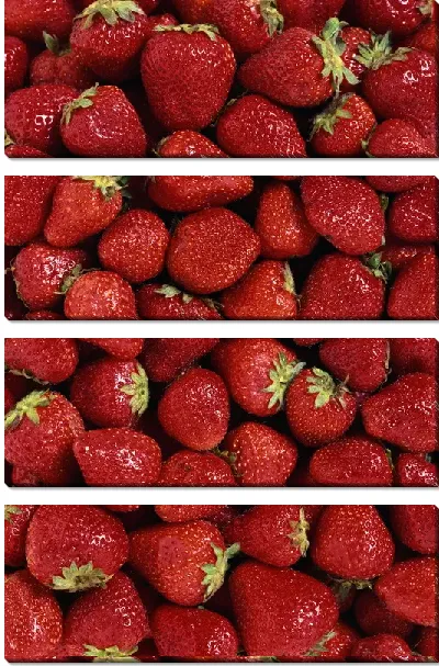 Модульная картина Клубника №3