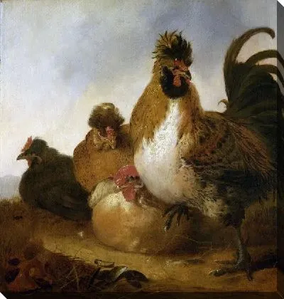 Картина Петух и курицы