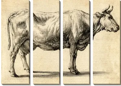 Картина Этюд коровы в профиль