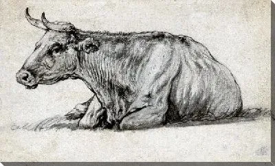 Картина Этюд коровы, лежащей в траве