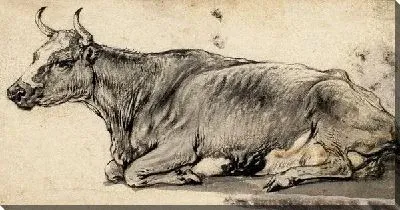 Картина Этюд лежащей коровы