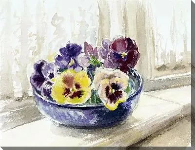 Анютины глазки