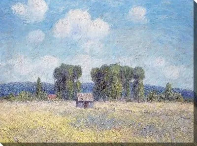 Картина Поле №15