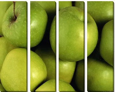 Модульная картина Яблоки №3
