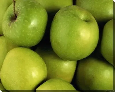 Постер Яблоки №3