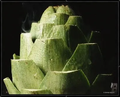 Картина Артишок №2