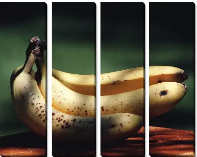 Модульная картина Бананы №5