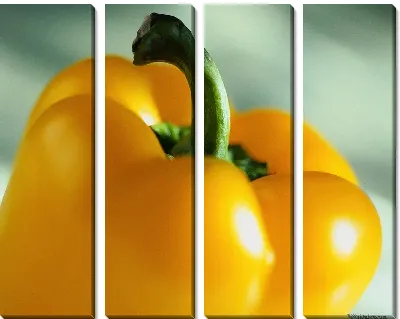 Модульная картина Перец №14