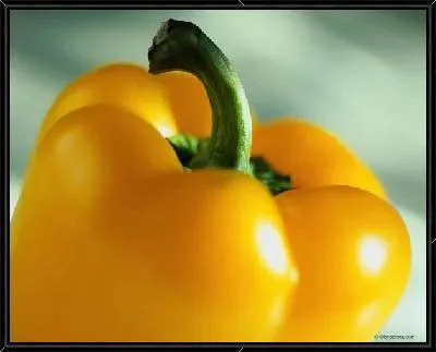 Картина Перец №14