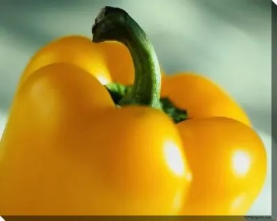 Постер Перец №14