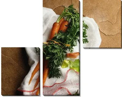 Модульная картина Морковь №3