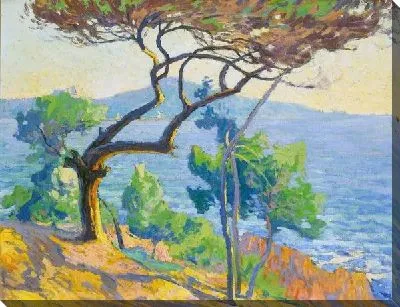 Картина Деревья у океана