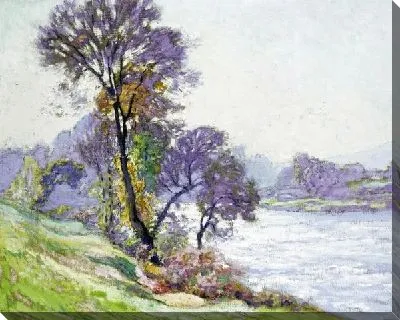 Деревья на берегу