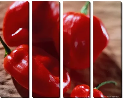 Модульная картина Перец №17