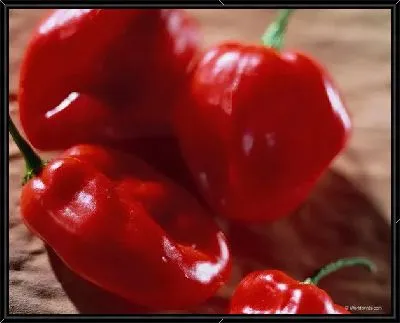 Картина Перец №17