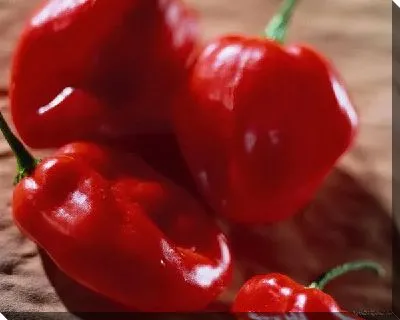 Постер Перец №17