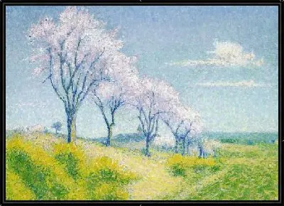 Миндальные деревья в цвету