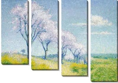 Миндальные деревья в цвету